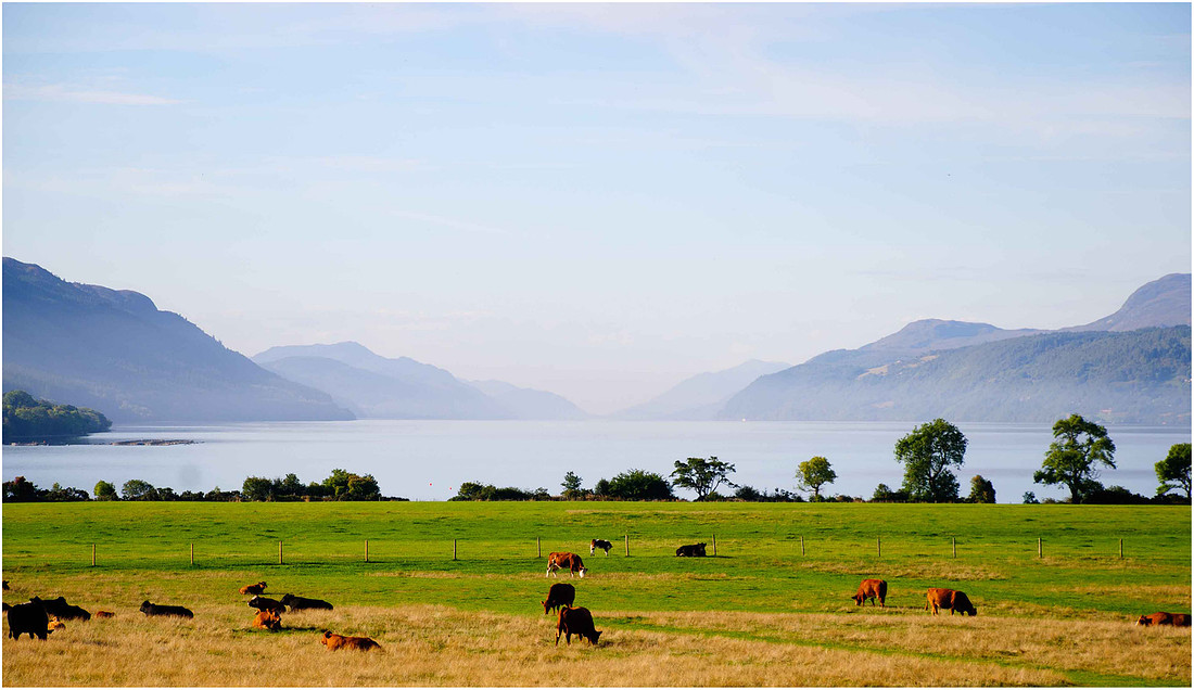 Baxters Loch Ness Half Marathon